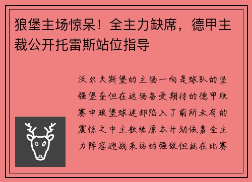 狼堡主场惊呆！全主力缺席，德甲主裁公开托雷斯站位指导